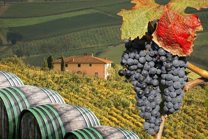 Private Chianti Tour and Wine Tasting — Montefioralle, Castles & Chianti Classico photo 6