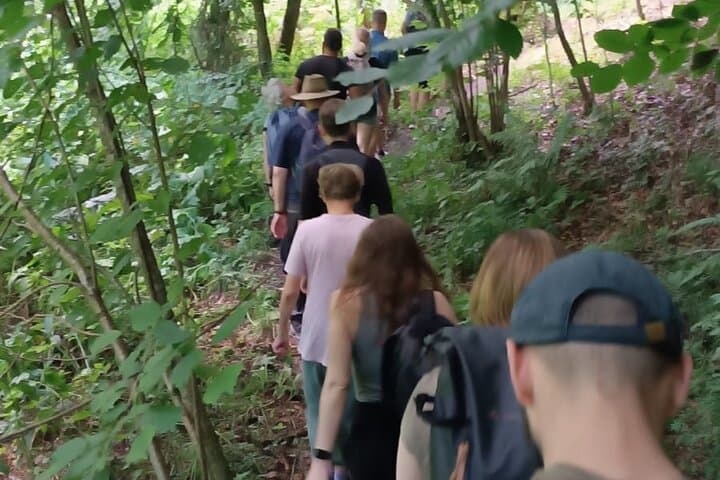 Carpathian Bear-Watching Near Brasov: 4-Hour Guided Wildlife Hide Experience photo 3