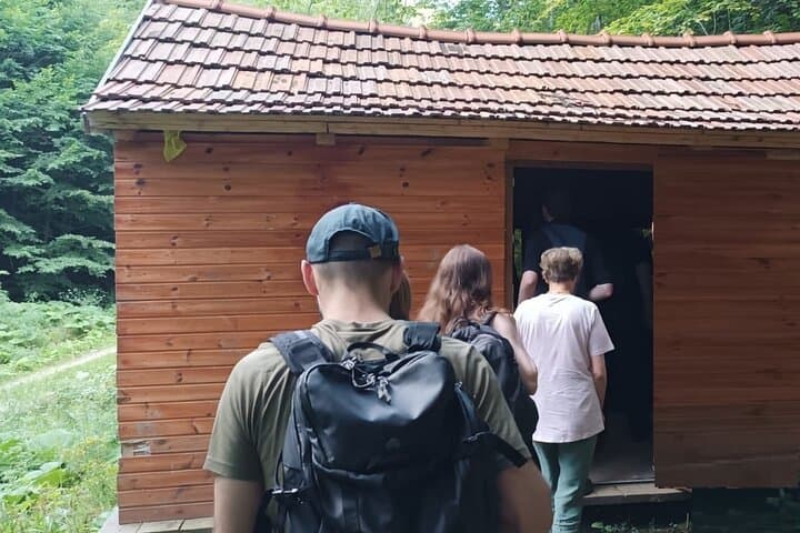 Carpathian Bear-Watching Near Brasov: 4-Hour Guided Wildlife Hide Experience photo 5