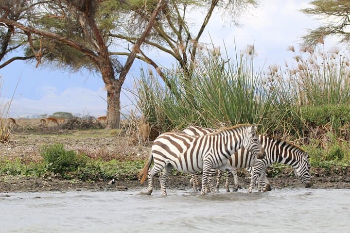 Day Tour to Lake Naivasha & Hell's Gate: Cycling, Boat Ride and Crescent Island Walk photo 2