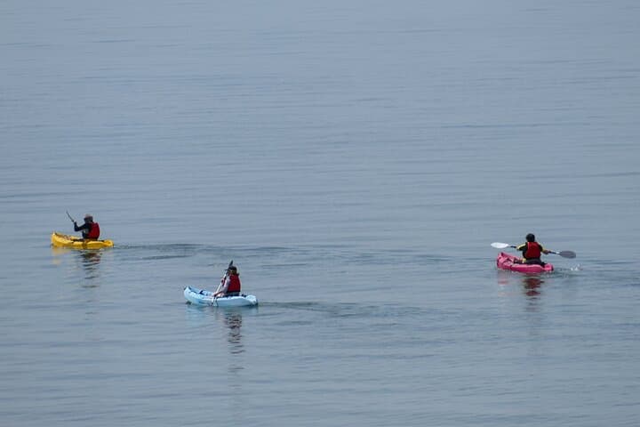 Private Canoe Tour in Trincomalee — 1-Hour Coastal Paddling & Marine Encounters photo 6