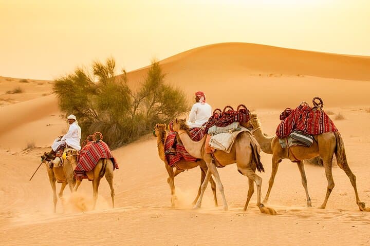 Dubai Overnight Desert Safari: Luxury Air-Conditioned Cabana & Dune Adventure photo 3