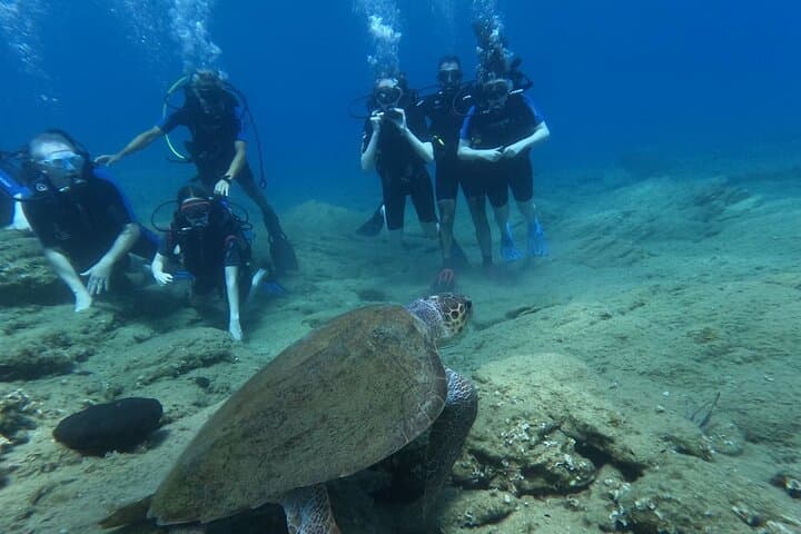 Beginner SSI Intro Dive in Agia Pelagia: 2 Open-Water Dives & Transfer photo 3