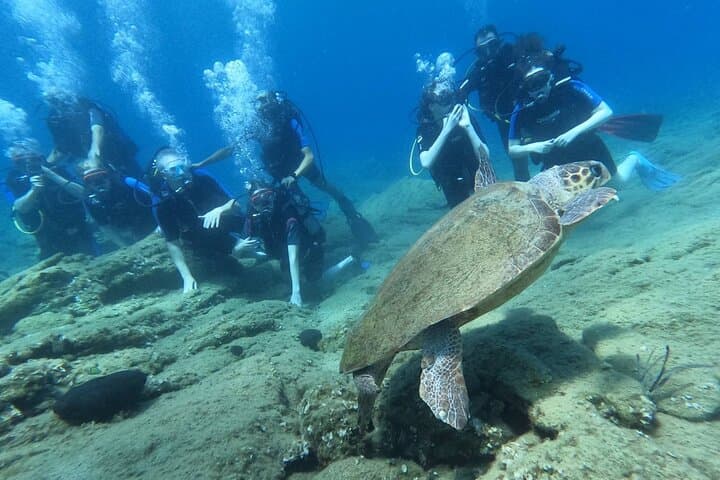 Discover Scuba Diving in Heraklion — Beginner-Friendly Dives off Crete photo 2