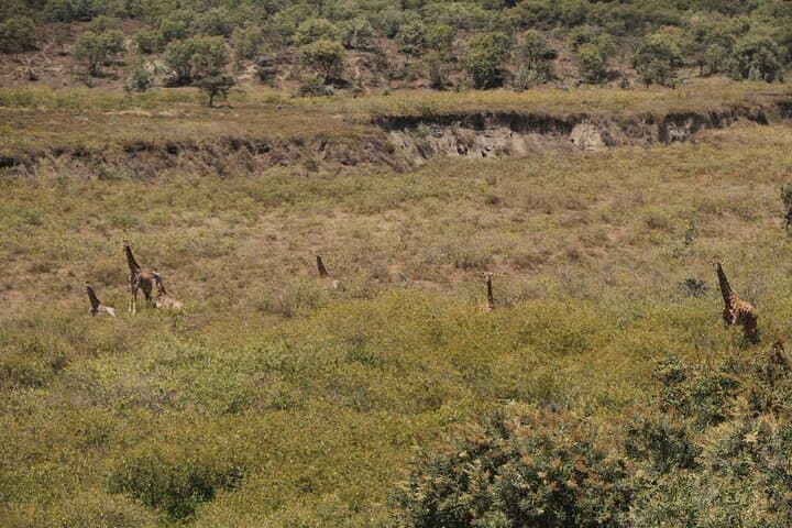 Hike Mt Longonot: Day Trip from Nairobi to the Rift Valley Crater photo 3