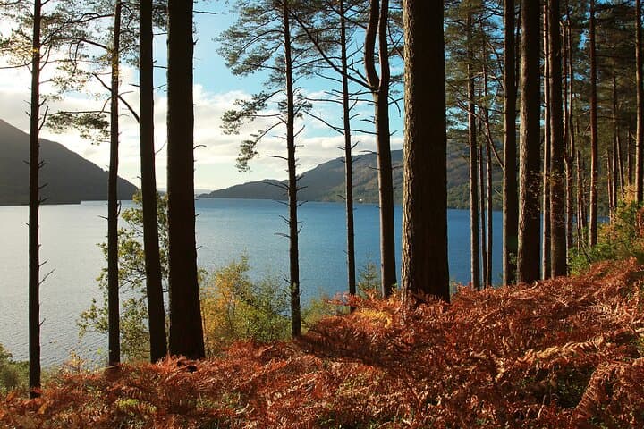 Stirling Castle and Loch Lomond Day Trip from Glasgow with 1-Hour Cruise photo 5