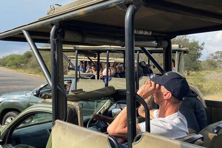 Full-Day Kruger National Park Safari: Big Five Game Drive from Mpumalanga