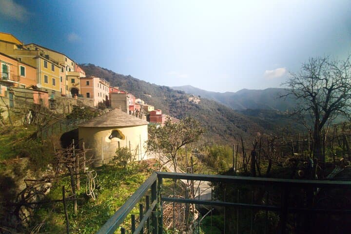 Lievàntu Wine Experience: Levanto Valley Trek and DOC Wine Tasting photo 5