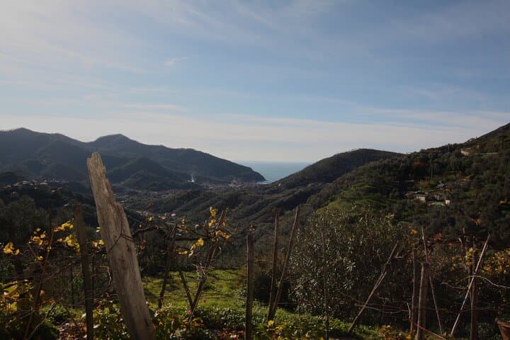 Lievàntu Wine Experience: Levanto Valley Trek and DOC Wine Tasting