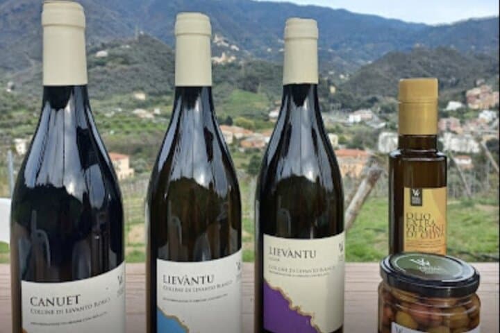 Lievàntu Wine Experience: Levanto Valley Trek and DOC Wine Tasting photo 3