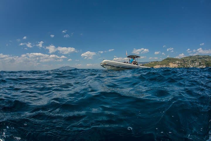 Afternoon Snorkelling with a Marine Biologist on the Sorrento Coast photo 3