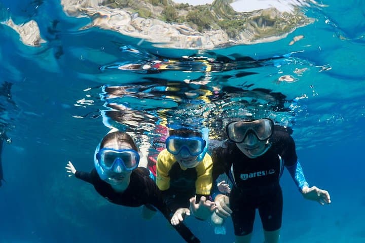 Afternoon Snorkelling with a Marine Biologist on the Sorrento Coast photo 4