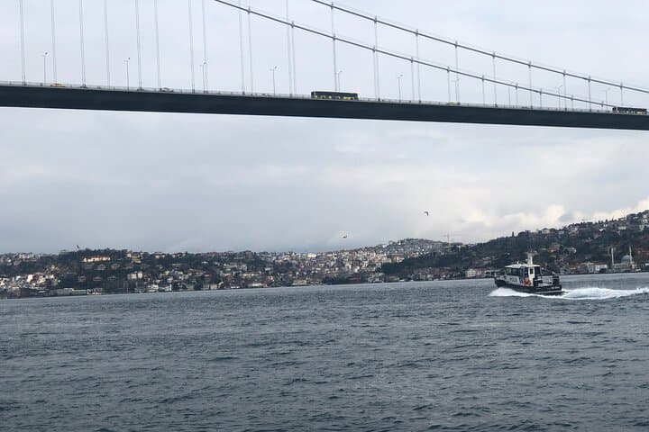 Private Bosphorus Cruise and Dolmabahçe Palace Tour in Istanbul photo 5