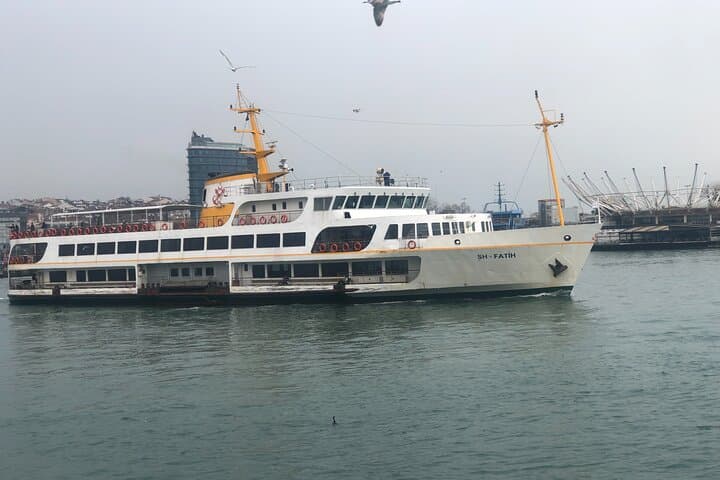Private Bosphorus Cruise and Dolmabahçe Palace Tour in Istanbul photo 2