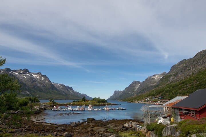 Tromso Fjords Road Trip with Grill Cabin & White-Sand Beach Break photo 5