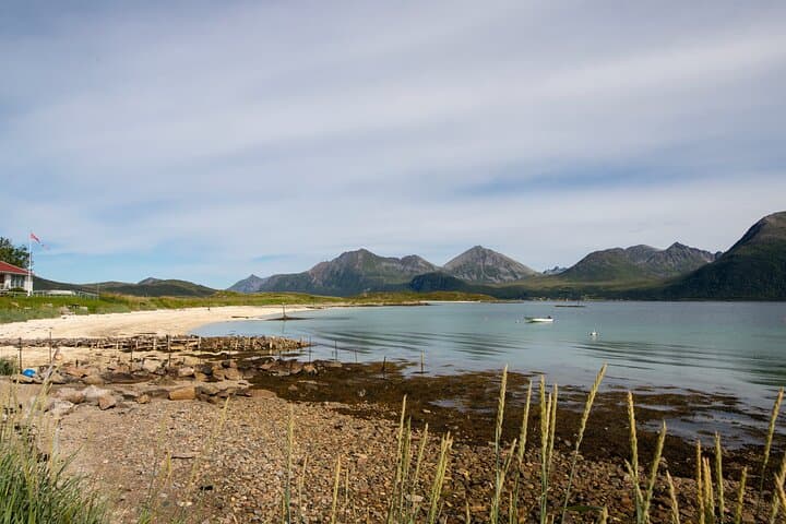 Tromso Fjords Road Trip with Grill Cabin & White-Sand Beach Break photo 6
