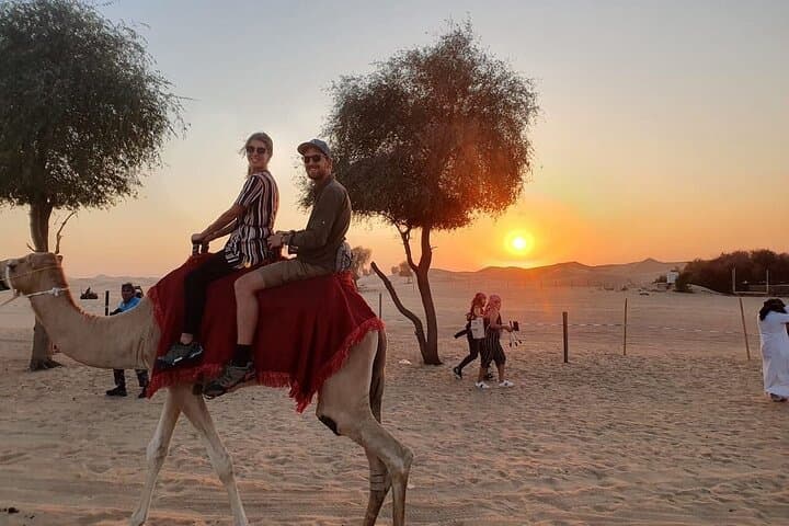 Lahbab Desert Safari & BBQ Dinner — Evening Dune Bashing and Cultural Camp