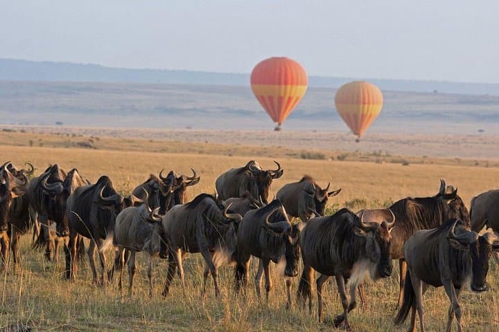 5-Day Camping Safari Guide: Tarangire, Serengeti & Ngorongoro Crater photo 1