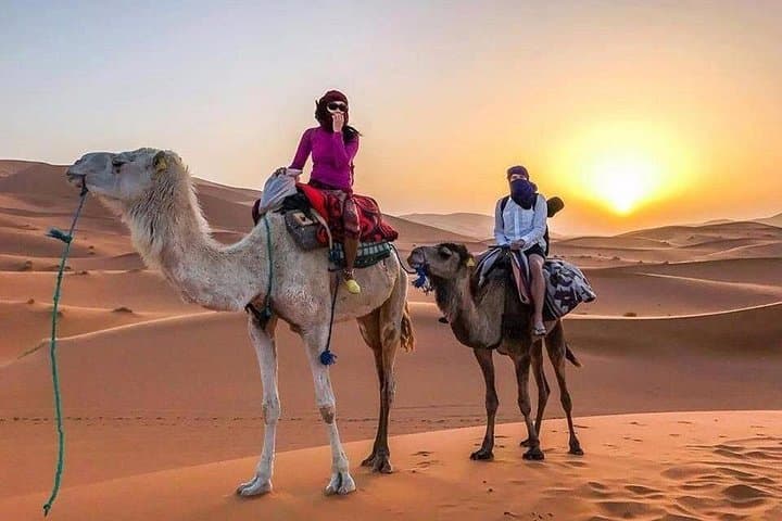 Zagora to Erg Chigaga: 2-Day Sahara 4x4, Camel Trek & Overnight Desert Camp