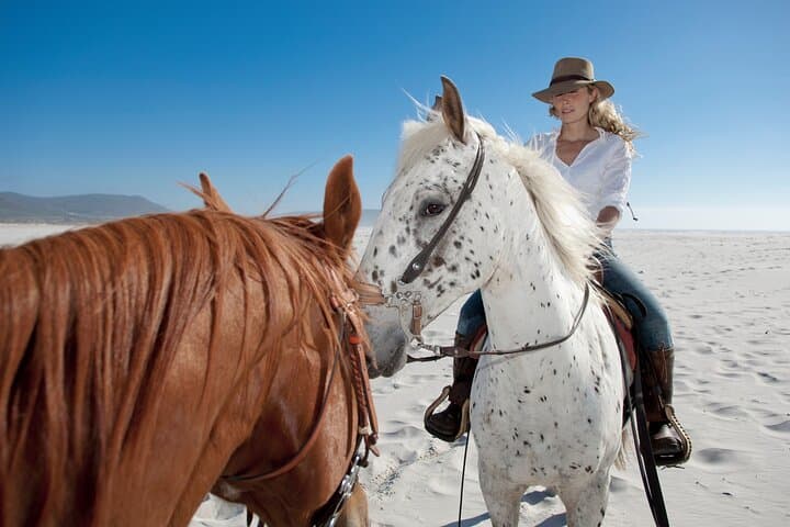 Migrino Beach Horseback Ride: Beach and Baja Desert Adventure in Los Cabos photo 1