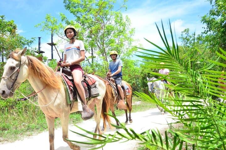 Horseback Riding on Punta Cana Beaches: Guided Beach Ride with Coconut Stop