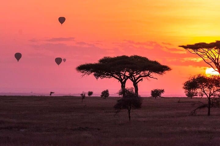 2-Day Tarangire & Ngorongoro Crater Safari — Big Five in Two Days photo 5