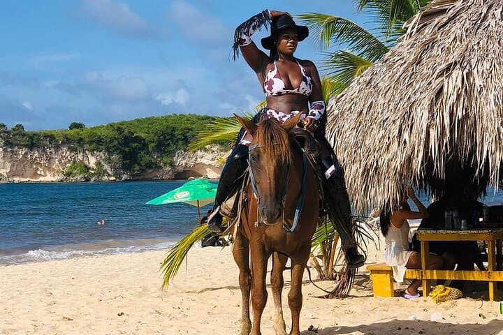 Horseback Riding on Punta Cana Beaches: Guided Beach Ride with Coconut Stop photo 5