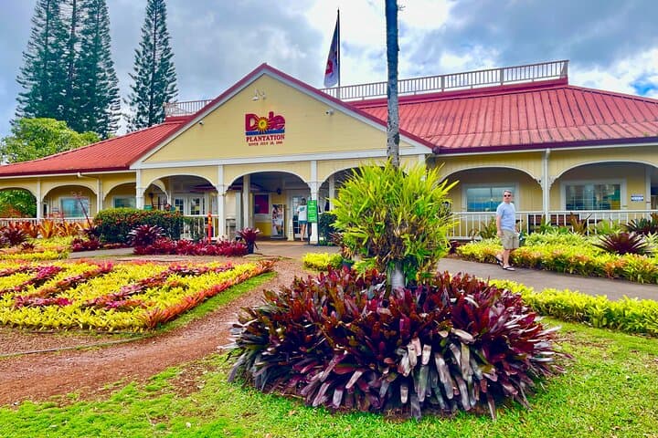 Waikiki to Dole Plantation & Haleiwa Town Roundtrip Shuttle — Oahu North Shore Day Trip photo 2