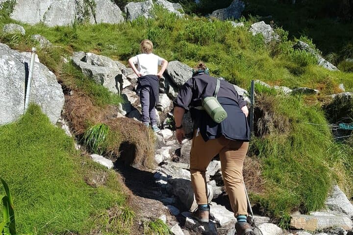 Table Mountain Hiking: Guided Routes from Platteklip to India Venster photo 3