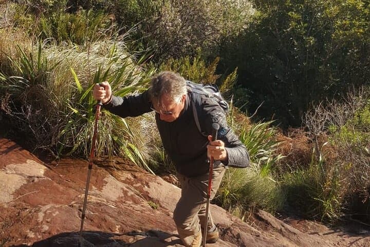 Table Mountain Hiking: Guided Routes from Platteklip to India Venster photo 4