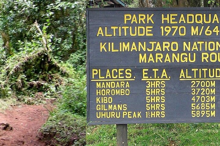 Day Hike to Mandara Hut on Kilimanjaro’s Marangu Route — A One-Day Trek Preview photo 2
