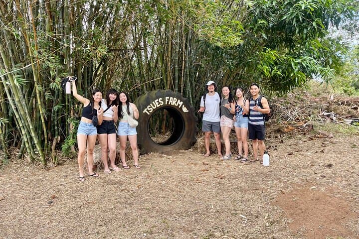 Waikiki to Dole Plantation & Haleiwa Town Roundtrip Shuttle — Oahu North Shore Day Trip photo 3