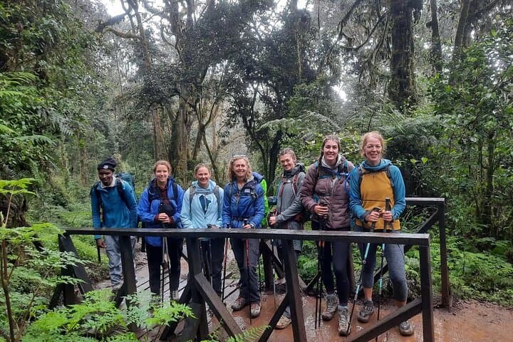 Day Hike to Mandara Hut on Kilimanjaro’s Marangu Route — A One-Day Trek Preview