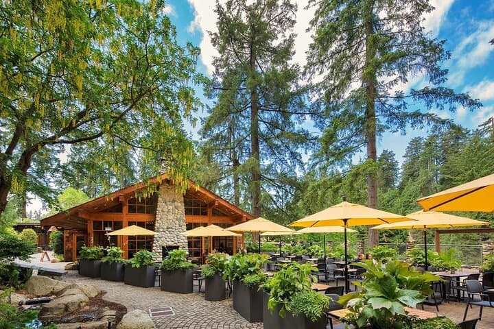 Private Vancouver Tour: Stanley Park, Capilano Suspension Bridge & Grouse Mountain photo 5