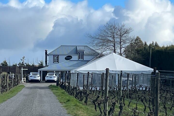 Martinborough Private Food & Wine Tour in Tesla SUV from Wellington