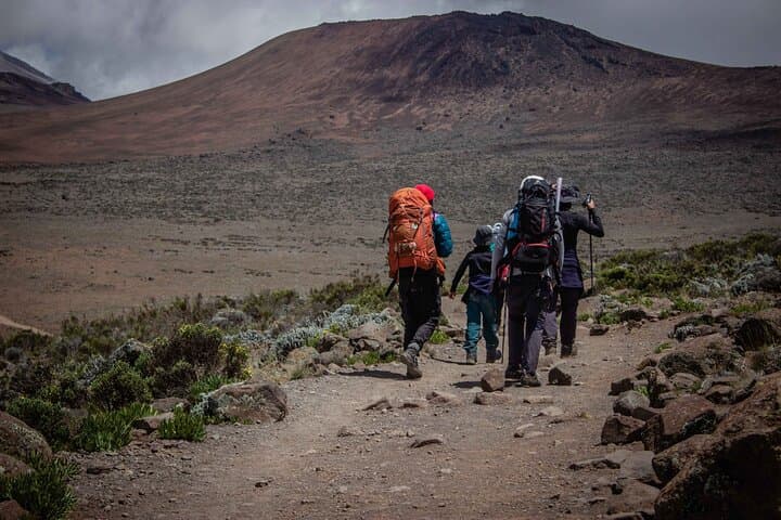 Lemosho Route: 7-Day Private Kilimanjaro Climb to Uhuru Peak