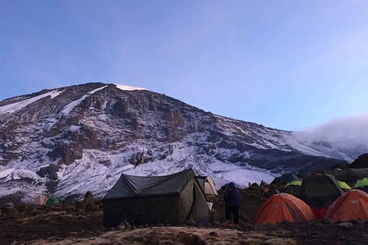 Lemosho Route: 7-Day Private Kilimanjaro Climb to Uhuru Peak photo 5