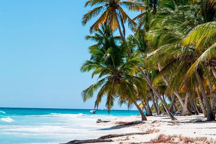 Saona Island Catamaran Cruise from Punta Cana with Natural Pool & Lunch photo 2
