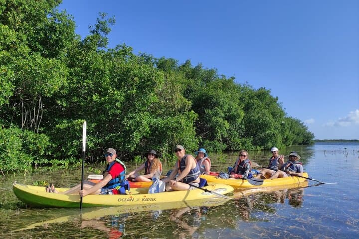 Kayak the Nichupté Lagoon: Guided Mangrove Tour in Cancún photo 5