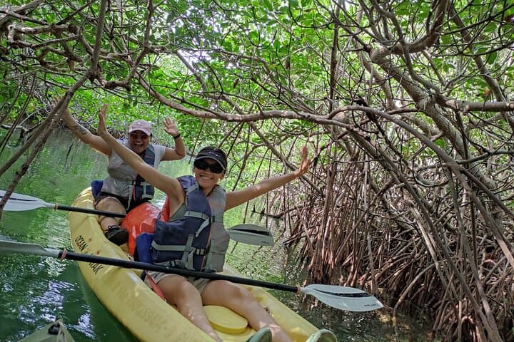 Kayak the Nichupté Lagoon: Guided Mangrove Tour in Cancún
