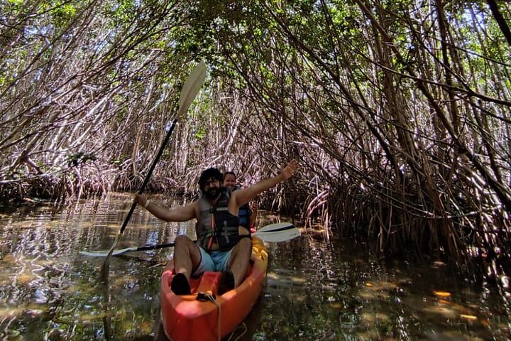 Kayak the Nichupté Lagoon: Guided Mangrove Tour in Cancún photo 3