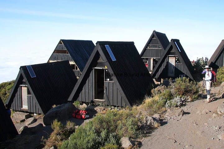 Kilimanjaro Marangu Route: 5-Day Trek to Uhuru Peak photo 3