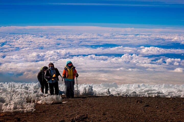 6-Day Kilimanjaro Climb via Shira Route: Private Guided Trek to Uhuru Peak