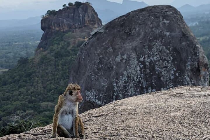 Discover the Essence of Sri Lanka: 10-Day Cultural & Wildlife Journey photo 5