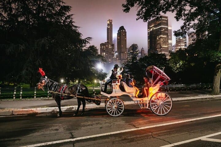 VIP Horse Carriage Ride Through Central Park — Private 1-Hour Tour photo 3