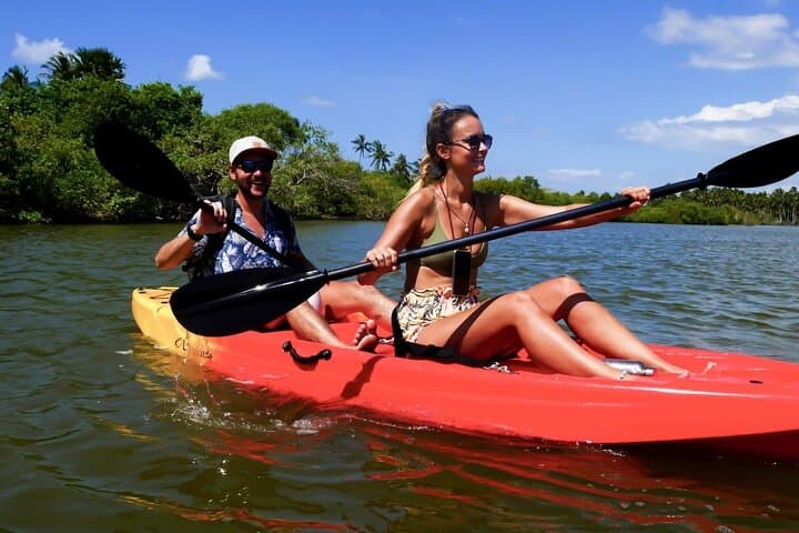 Guided Canoeing in Negombo: Lagoon Paddles, Birdlife & Village Life photo 3