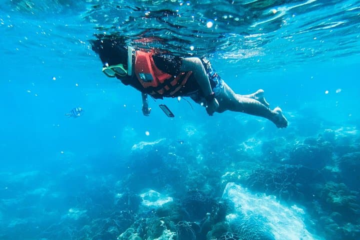 Half-Day Guided Snorkeling in Negombo: Coral Gardens and Silver Shoals photo 3