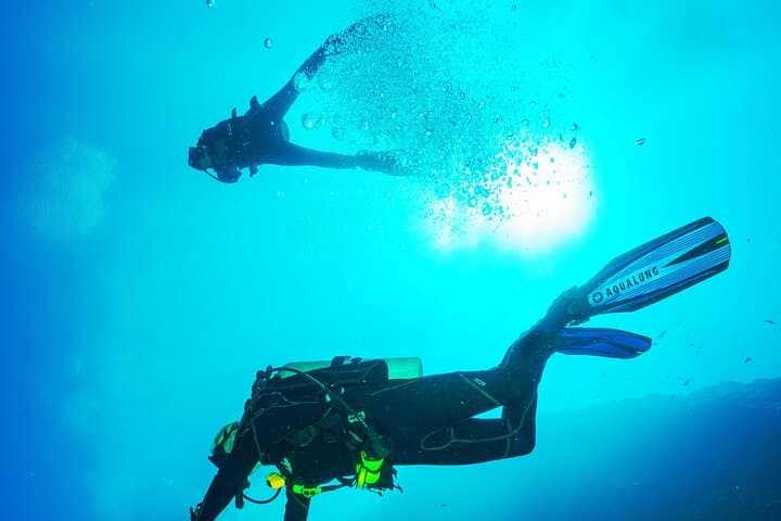 Night Diving in Negombo: Explore Sri Lanka's Nocturnal Seascape photo 6