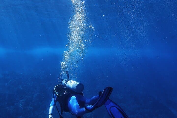 Underwater Wrecks and Reefs: Scuba Diving in Negombo, Sri Lanka photo 6