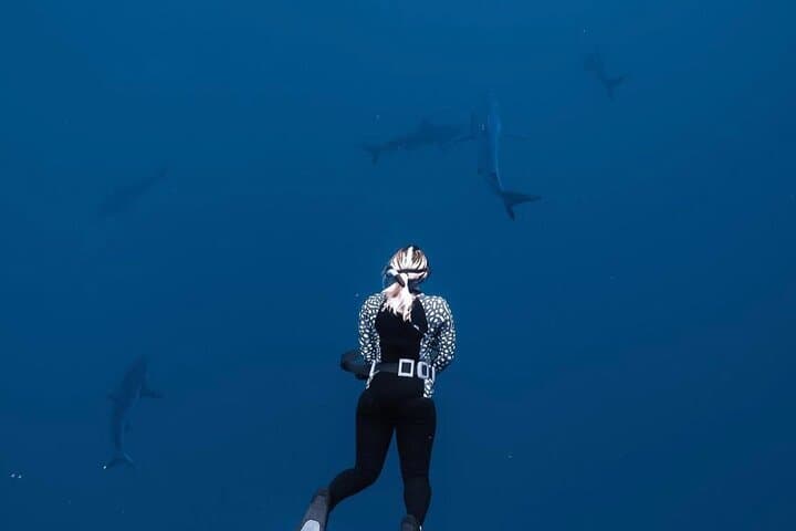 Cage-Free Shark Snorkel on Oahu's North Shore — Open-Ocean Encounters photo 3